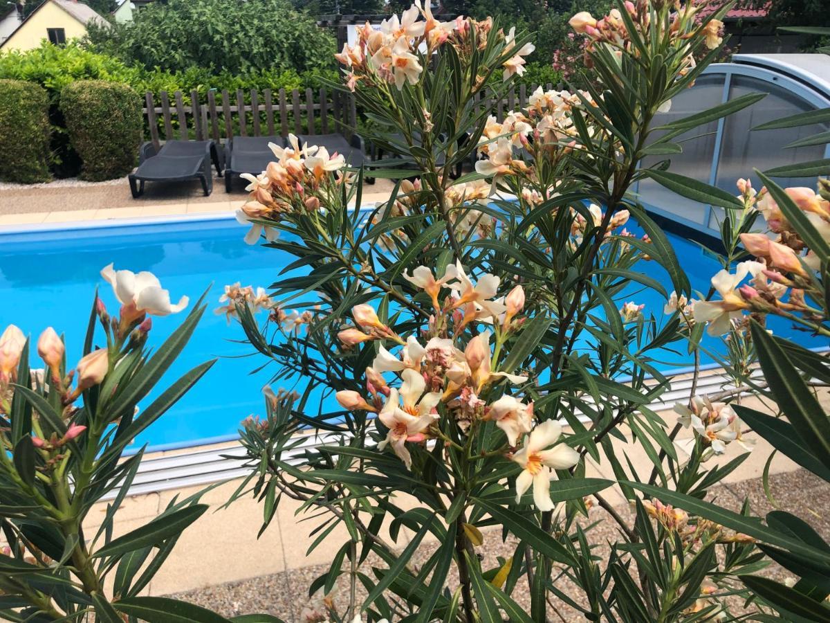 Haus Marika Hotel Siofok Luaran gambar