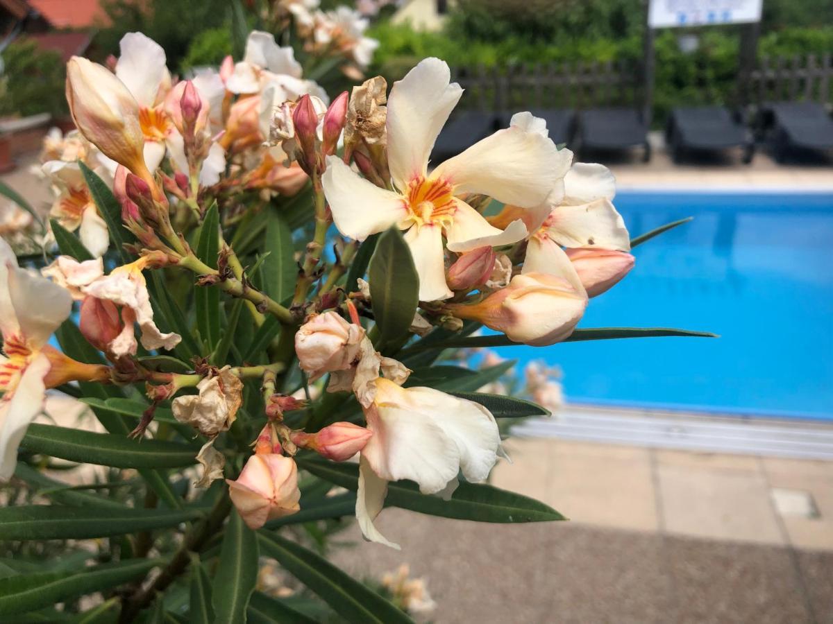 Haus Marika Hotel Siofok Luaran gambar