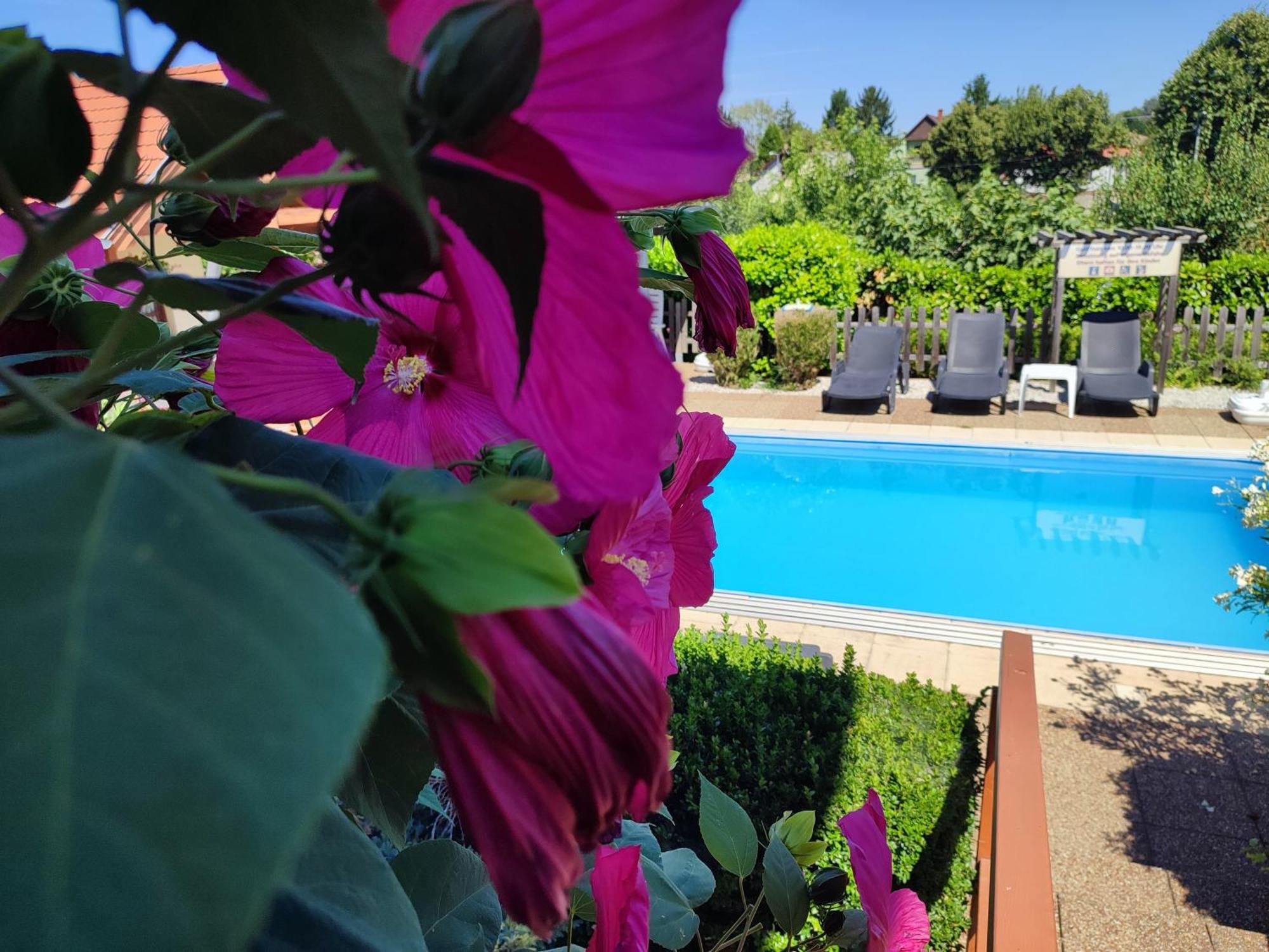 Haus Marika Hotel Siofok Luaran gambar